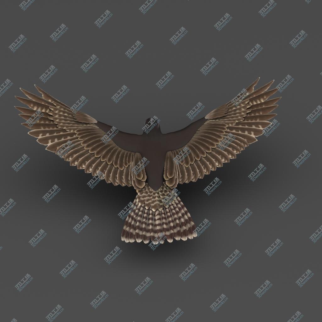 images/goods_img/202105071/Falcon 3D model/2.jpg